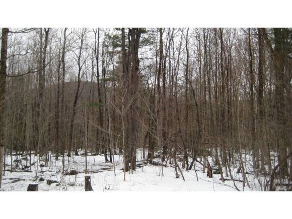 0 Branch Hill Rd, Readsboro, VT 05350 - photo 1