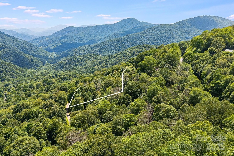 16 Mountain Gait Dr unit 16, Mars Hill, NC 28754 - photo 1