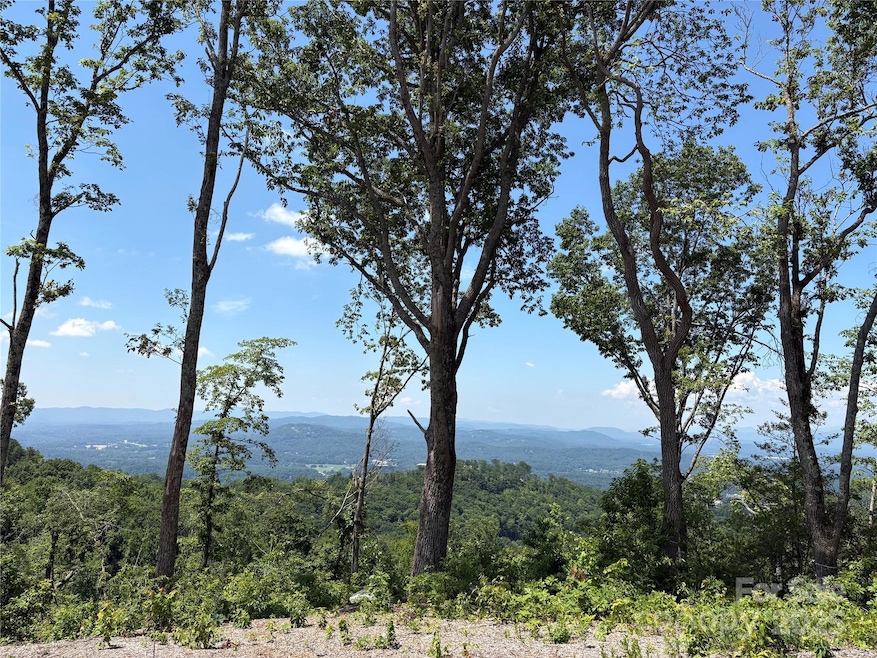 Lot 50 Mountain Grove Ln unit 50, Fletcher, NC 28732 - photo 1