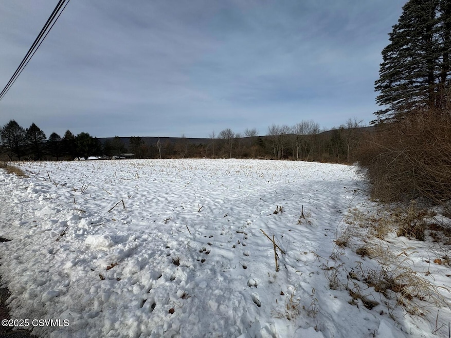 0 Reber Rd, West Buffalo Township, PA 17844 - photo 1