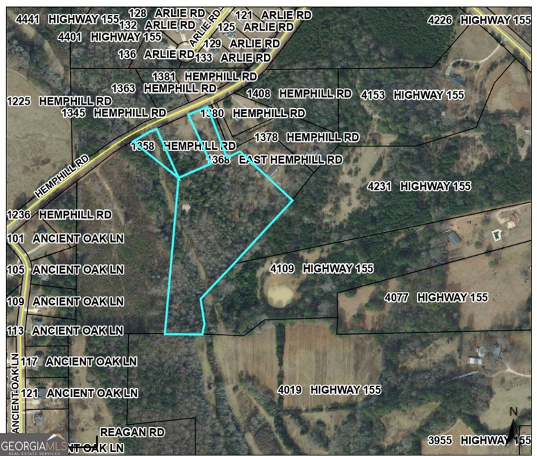 Henry County Tax Map View