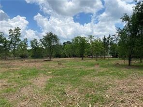 View of undeveloped land featuring rural landscape