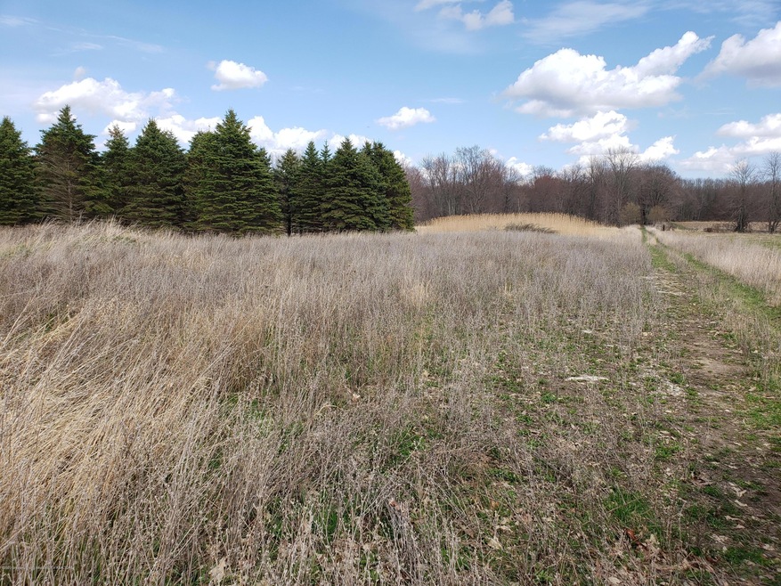 Vacant land photo