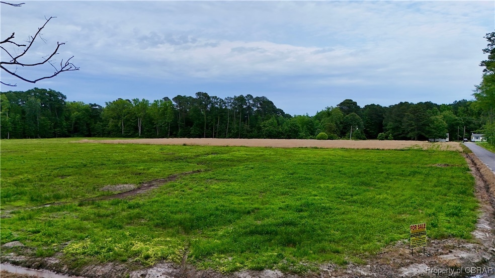 View of yard with a view of trees