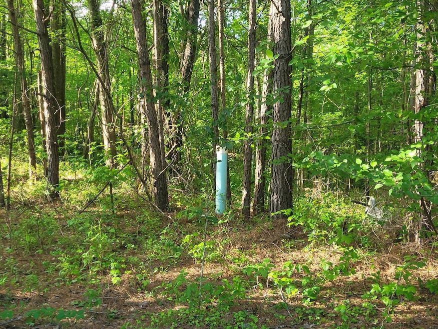 7126 Browns Mill Rd, Lithonia, GA 30038 - photo 1