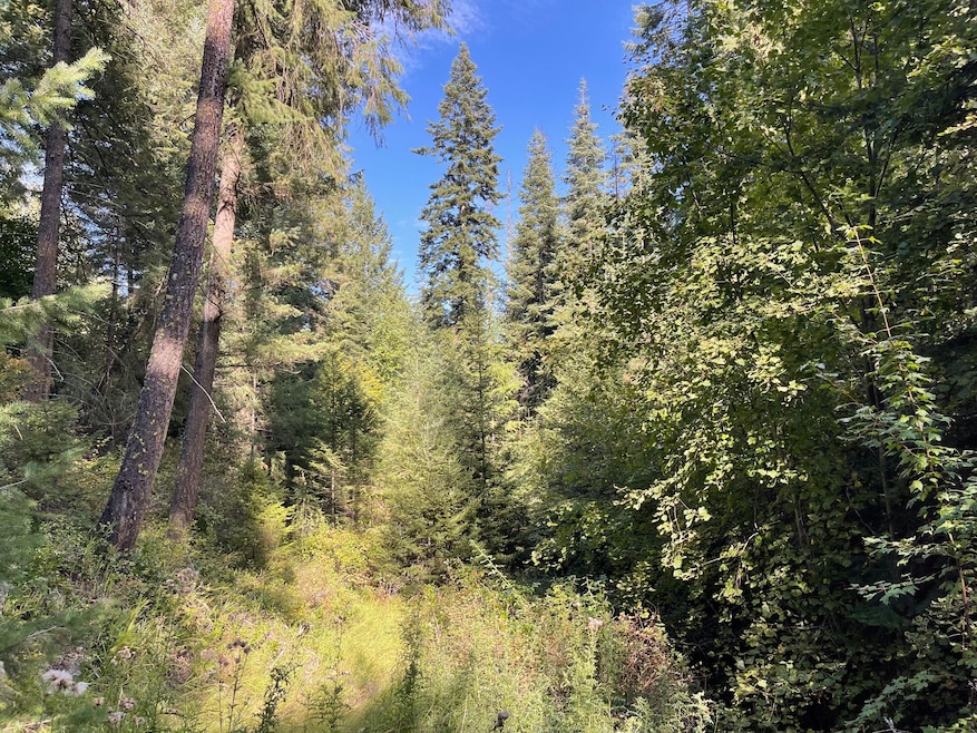 1855 Blue Creek Rd W