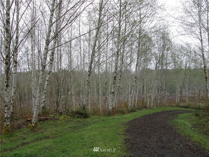 0 M.P. 63 U S 101, Raymond, WA 98577 - photo 1