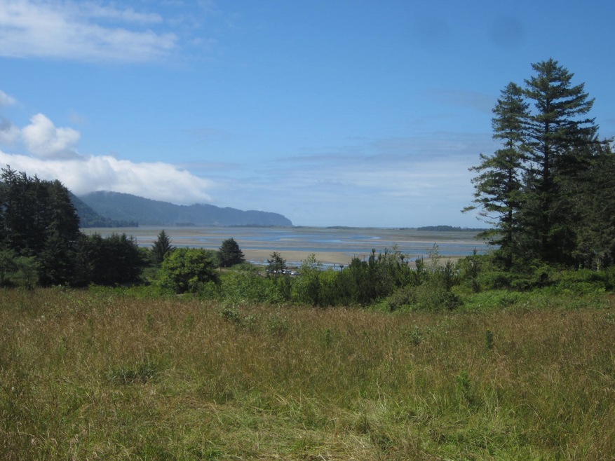 Lot and view