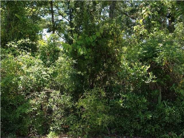 407 Tallahassee St, Carrabelle, FL 32322 - photo 1