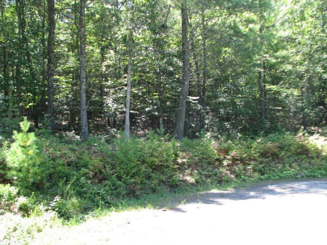 Land