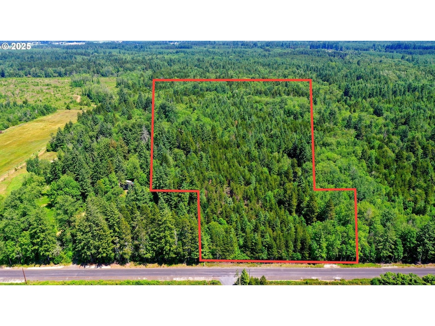 0 Boone Rd unit 361490112, Toledo, WA 98591 - photo 1