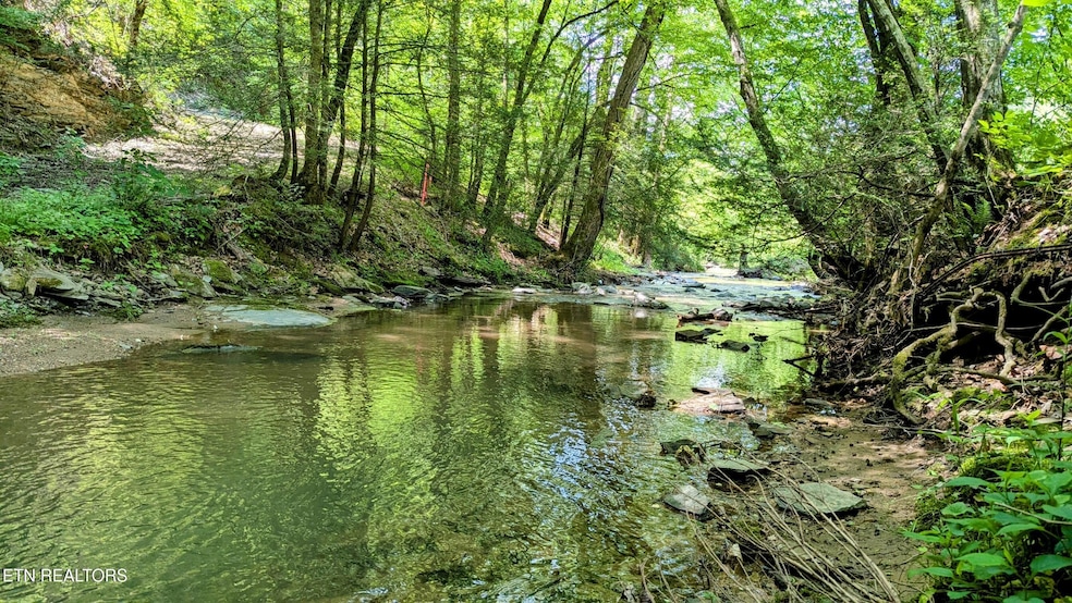 CREEK View!