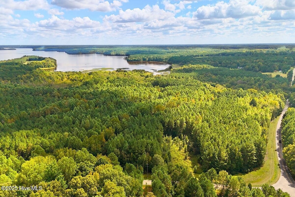 0 Bissette Rd unit 100532510, Middlesex, NC 27557 - photo 1