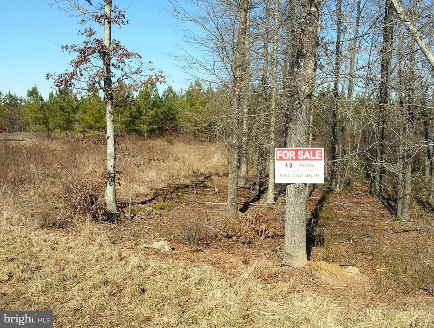 0 S Wilderness Trail unit 1002372256, Locust Grove, VA 22508 - photo 1