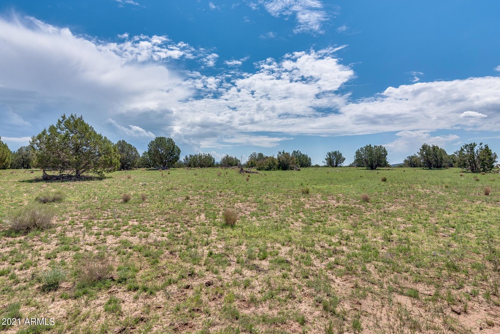 25 Indian Springs Rd unit 2, Ash Fork, AZ 86320 - photo 1