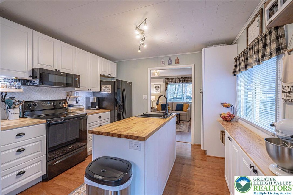 9 Pine Tree Rd, Albrightsville, PA 18210 - photo 1