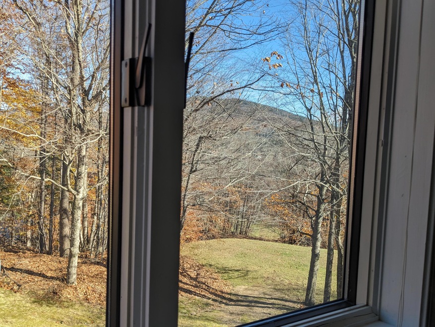 VIEW from Kitchen Window