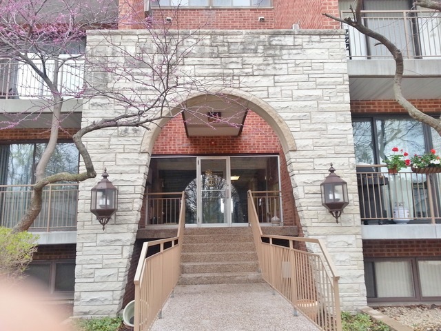 197 W Armitage Ave unit 101, Elmhurst, IL 60126 - photo 1