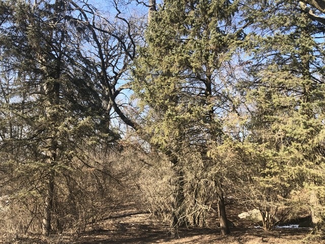 957 Watercress Dr, Naperville, IL 60540 - photo 1