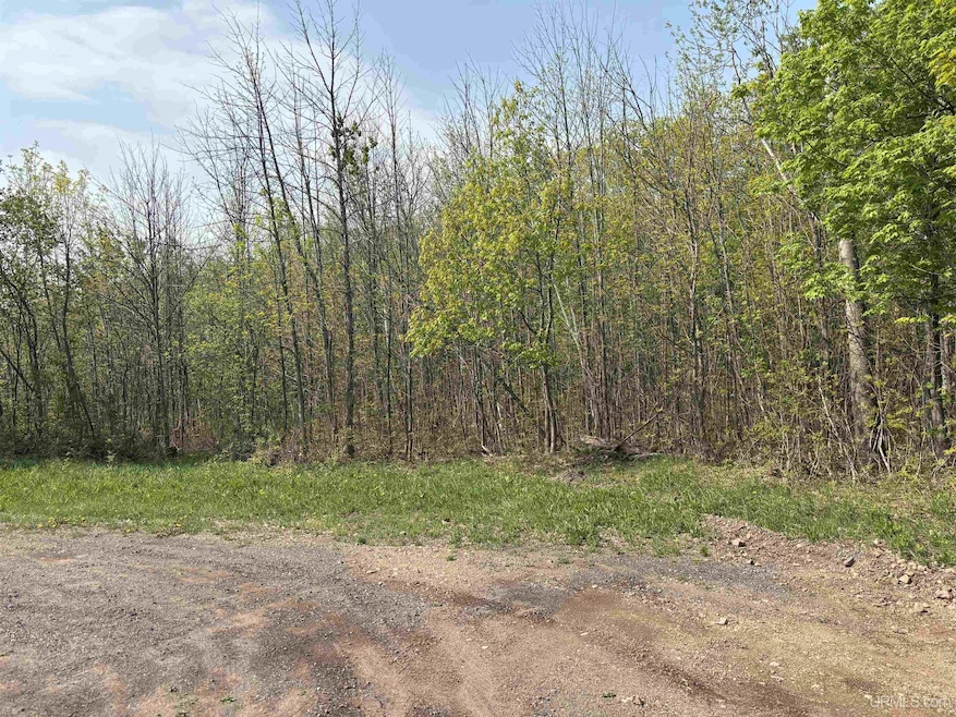 TBD B Gorton Rd, Franklin Township, MI 49930 - photo 1