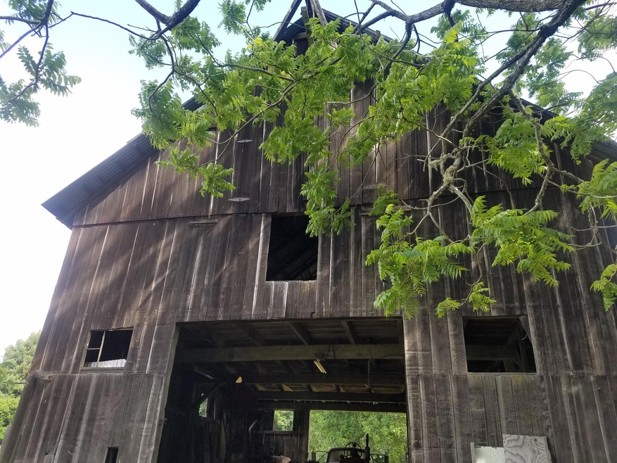 Luna Farms