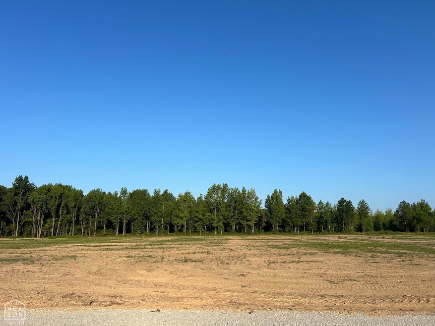 179 C R 422, Jonesboro, AR 72404 - photo 1