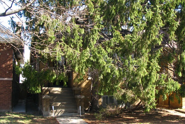 5348 W Fletcher St, Chicago, IL 60641 - photo 1