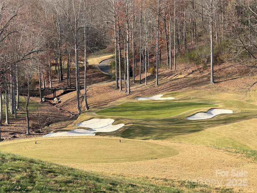 90 Chestertown Dr unit 90, Mill Spring, NC 28756 - photo 1