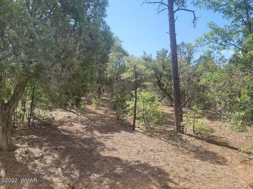 3511 W Falling Leaf Road