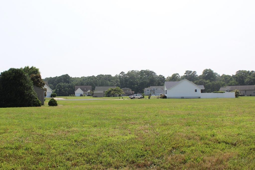 Main View