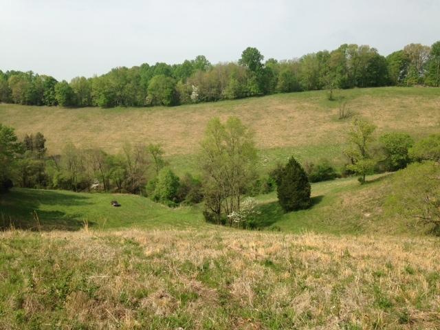 can you believe you are only 5 miles from I-24  centrally located between Chattanooga & Nashville  with such seclusion