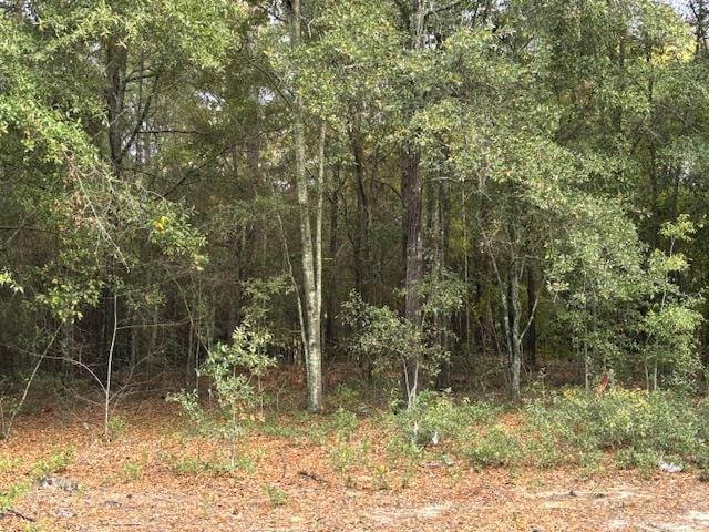 Lot 33 Marie Ln, Bainbridge, GA 39817 - photo 1