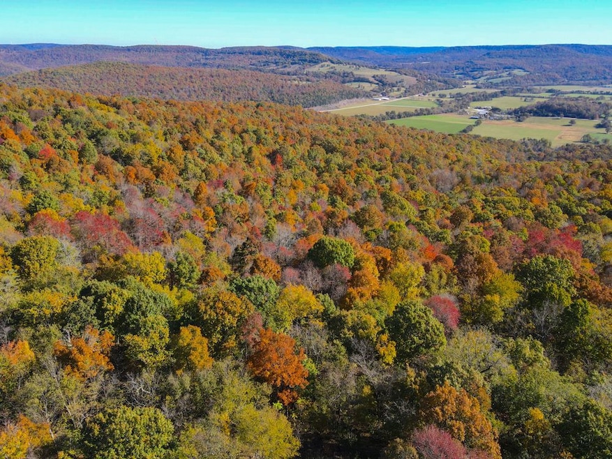 0000 Cr 935, Berryville, AR 72616 - photo 1