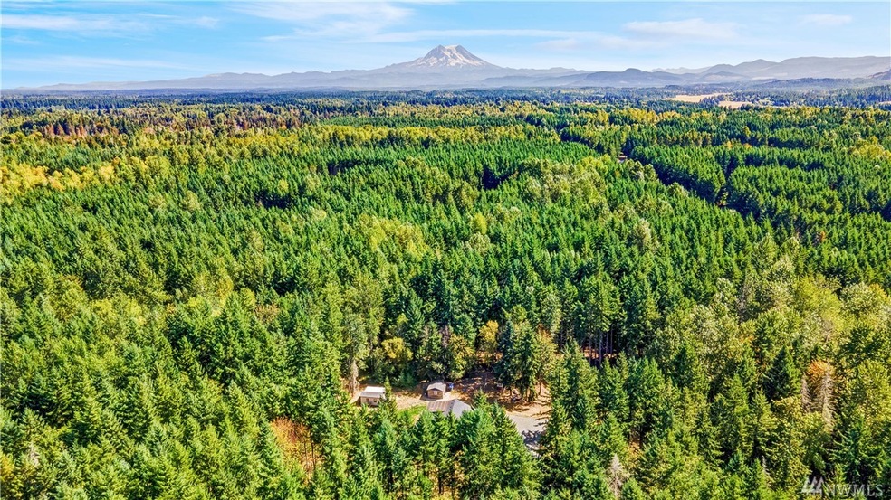 14640 164th Ln SE, Rainier, WA 98576 - photo 1