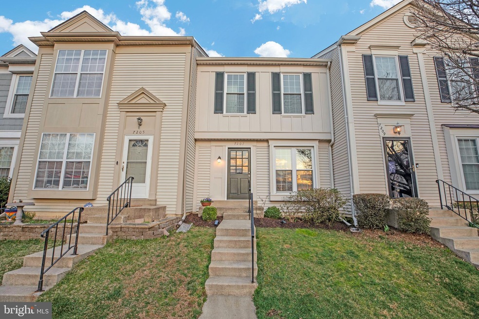 7207 Stover Dr, Alexandria, VA 22306 - photo 1