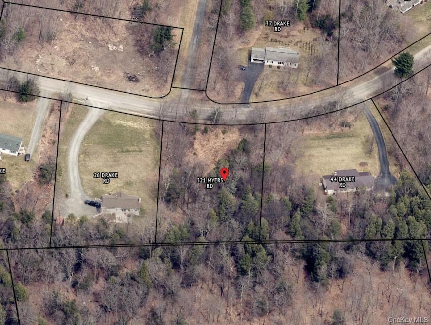 TBD Drake Rd, Neversink, NY 12765 - photo 1