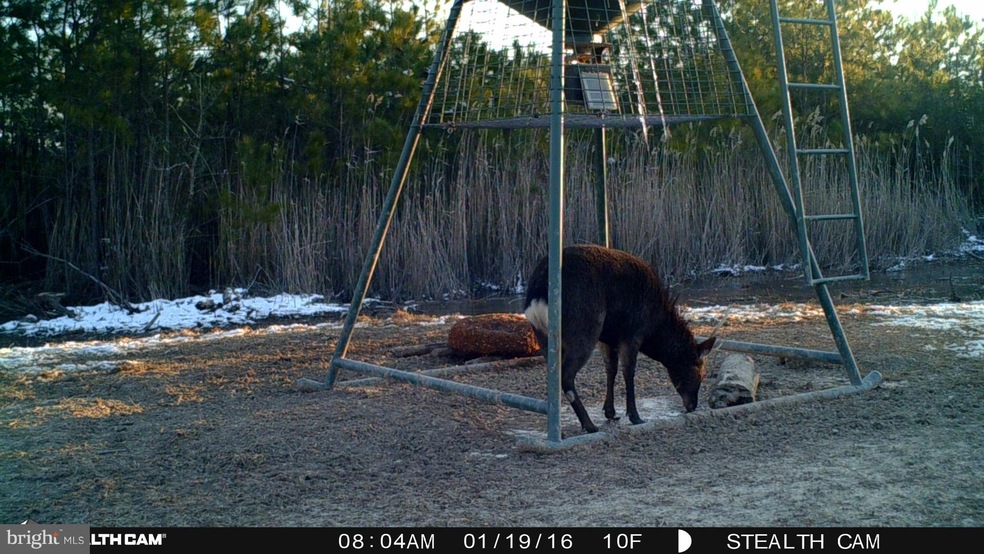 0 Shorters Wharf Rd unit 1005914905, Crapo, MD 21626 - photo 1