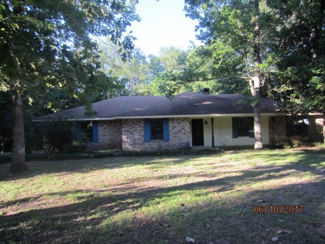 Main View