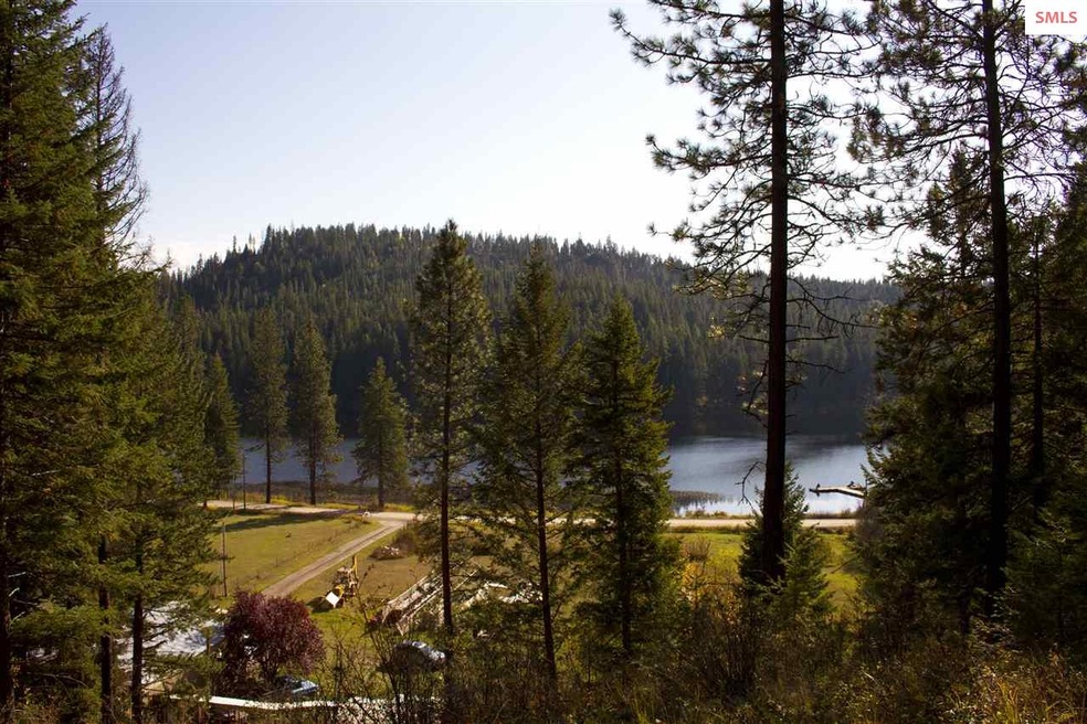 1561 Kelso Lake Rd, Athol, ID 83801 - photo 1