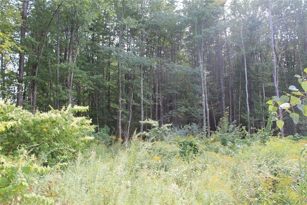 Wooded Land, property goes straight...