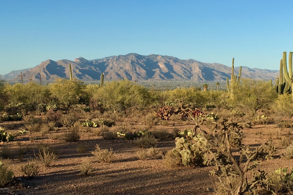 LAZY C RANCH ~ LOT 2