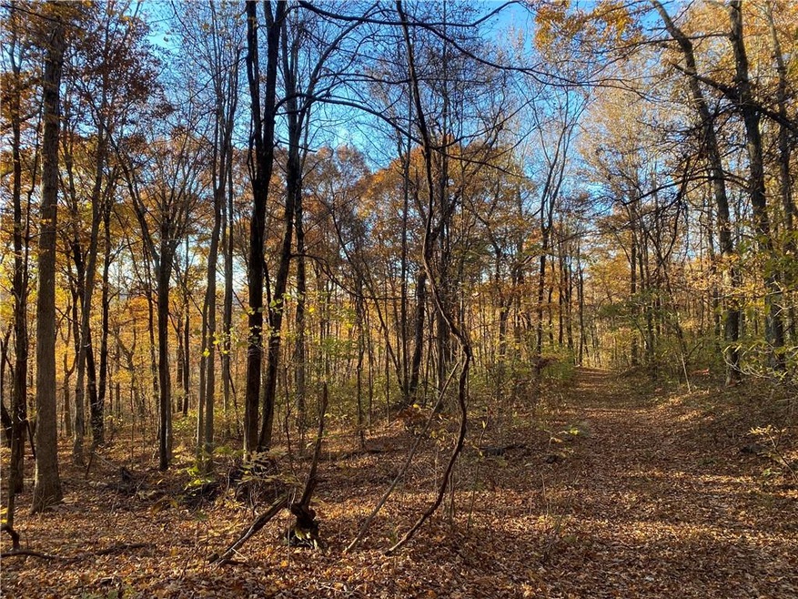 0 Madison 4095 unit 1204133, Crosses, AR 72727 - photo 1