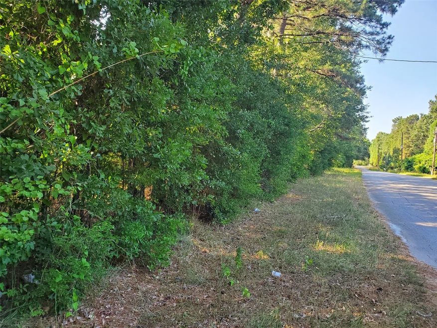 806 Buckhorn Ln unit 1, Magnolia, TX 77354 - photo 1