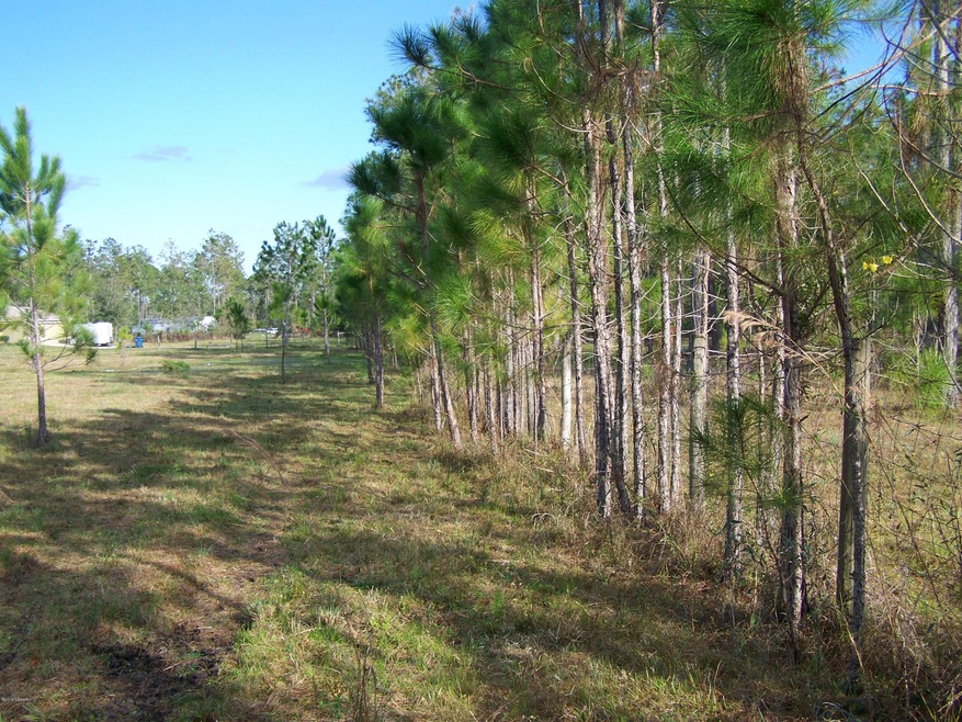 6020 Logger Creek Rd 011