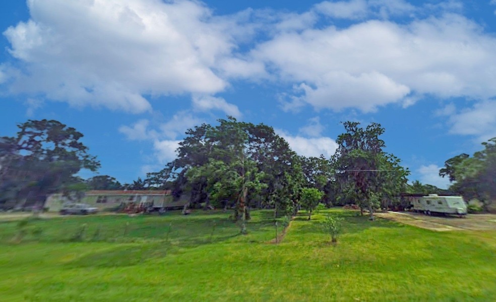 Lot 8 County Road 659, Brazoria, TX 77422 - photo 1