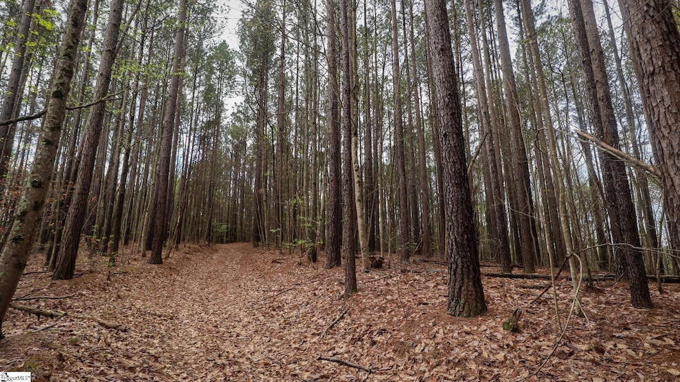 23 Belk Rd, Travelers Rest, SC 29690 - photo 1