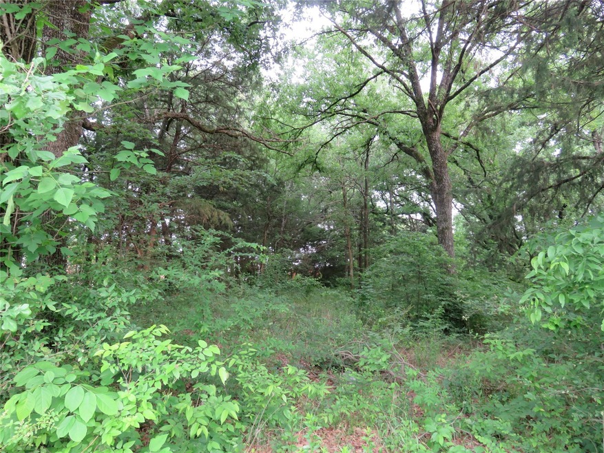 Tract 3 Recreational Road 3, Bonham, TX 75418 - photo 1