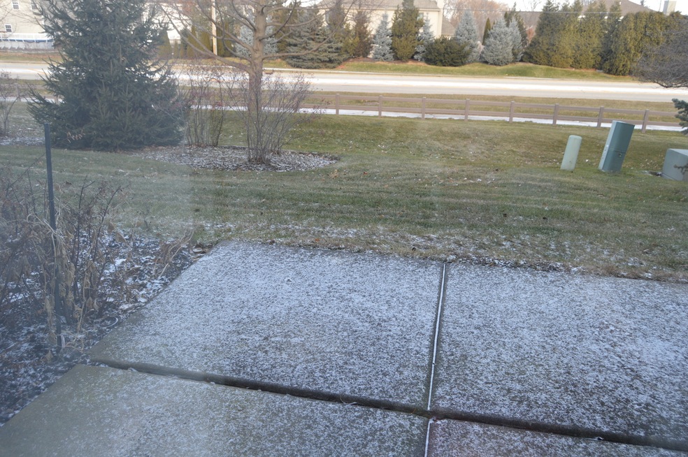 2050 Peach Tree Ln unit 4173, Algonquin, IL 60102 - photo 1