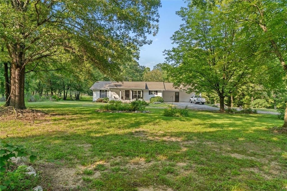 View of grassy yard