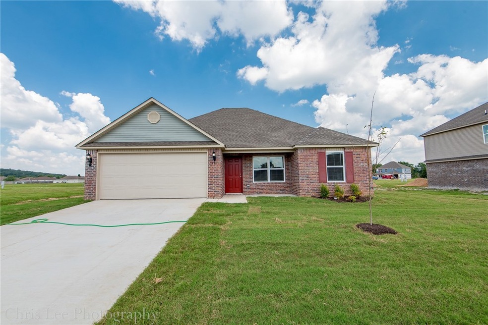 898 Ethan James St, Elkins, AR 72727 - photo 1